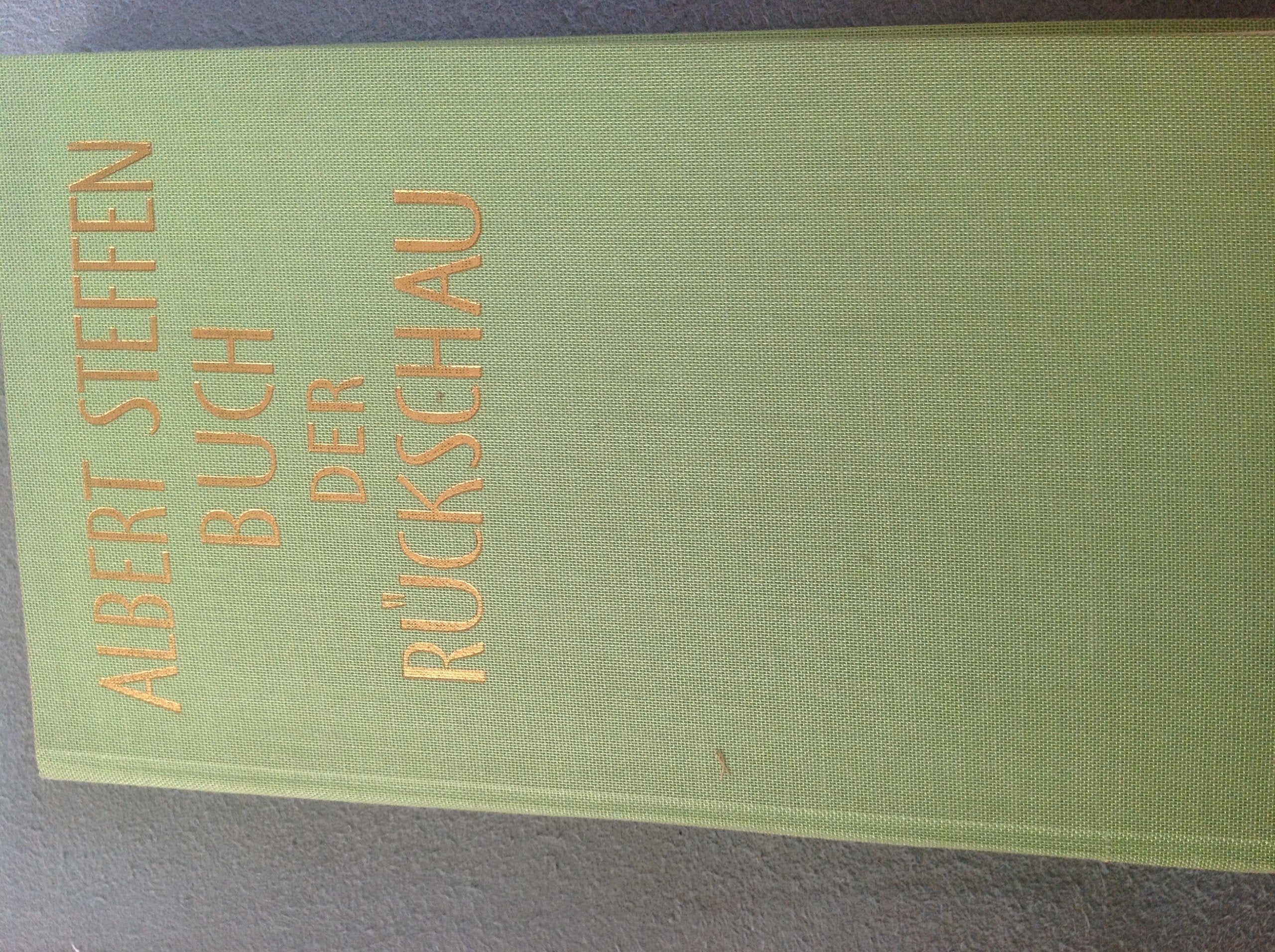 Buch der Rückschau: Erinnerungen, Erzählungen, Essays Contemporary literature