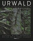 Urwald in den Schwyzer Bergen: Schöne wilder Bödmeren Business & Technology
