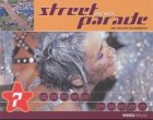 Street Parade: Das Buch Social Sciences
