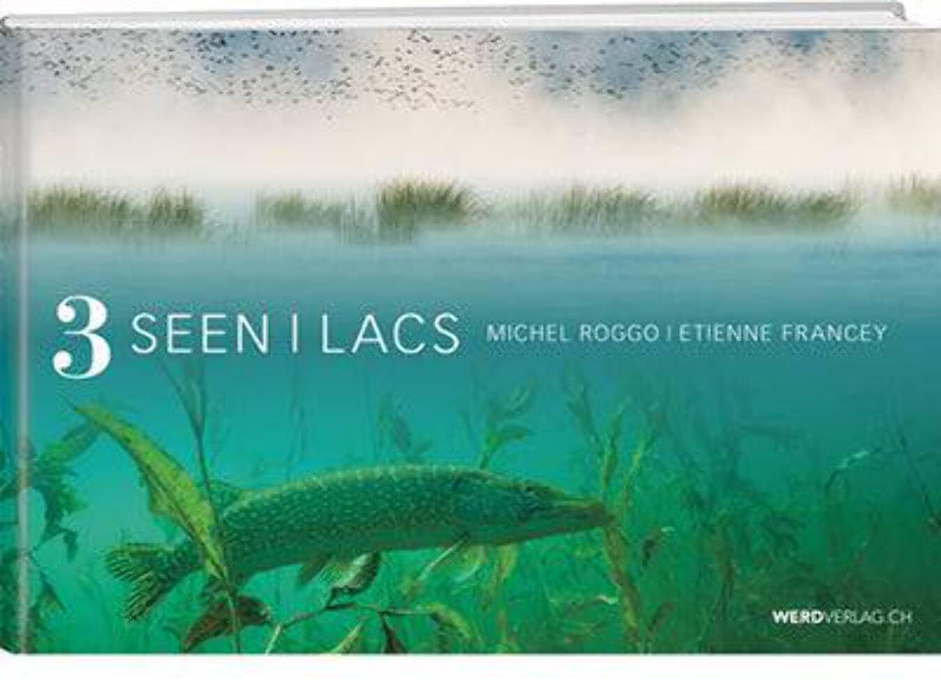 3 Seen – 3 Lacs book