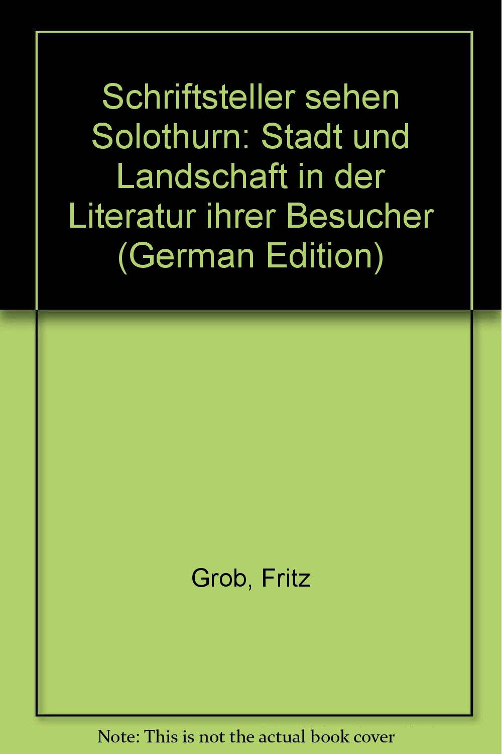 Schriftsteller sehen Solothurn. Stadt und Landschaft in der Literatur ihrer Besucher Books