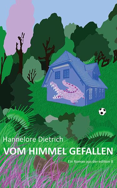 Vom Himmel gefallen Contemporary literature Books