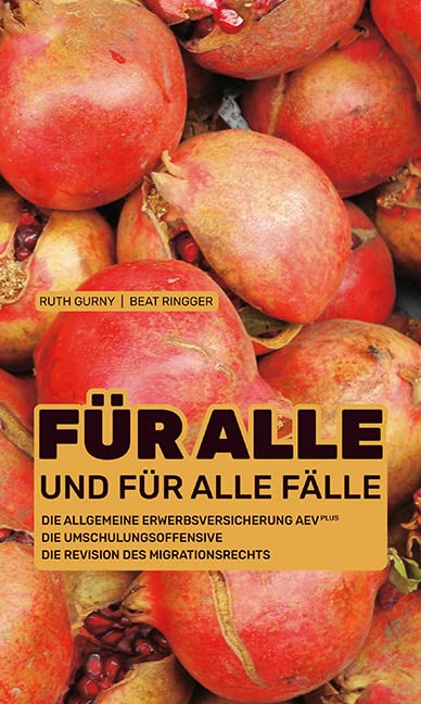 Für alle und für alle Fälle: Die Allgemeine Erwerbsversicherung AEVplus Politics & History
