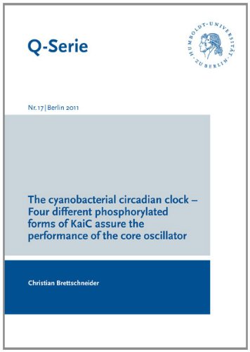 The cyanobacterial circadian clock: Four different phosphorylated forms of KaiC assure the performance of the core oscillator Natural Sciences