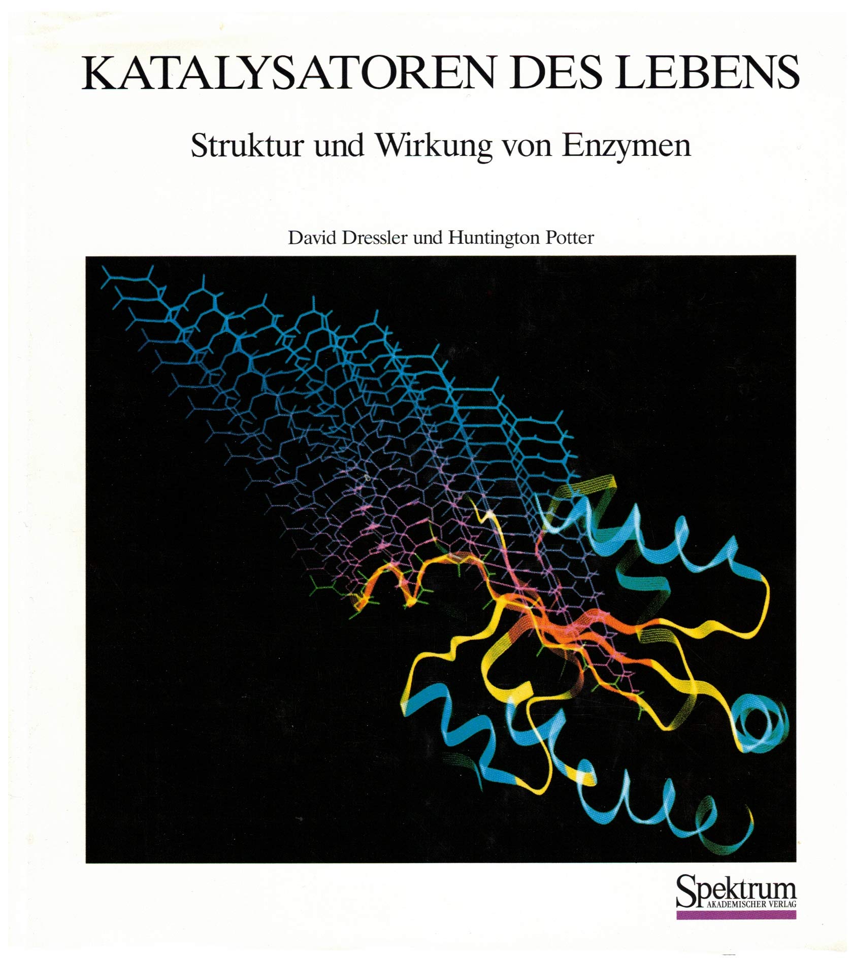 Katalysatoren des Lebens: Struktur und Wirkung von Enzymen Law