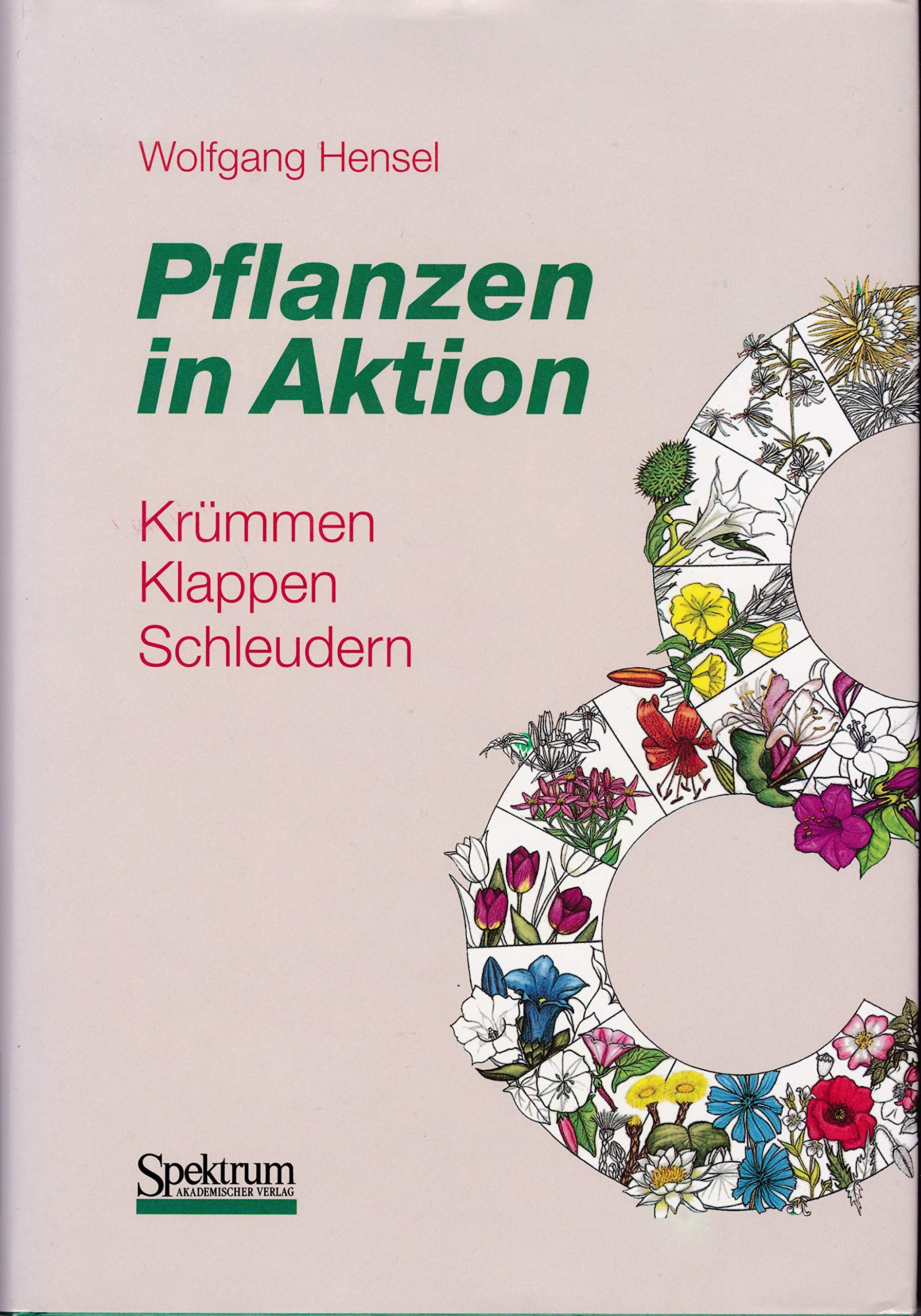 Pflanzen in Aktion: Krümmen, Klappen, Schleudern Law