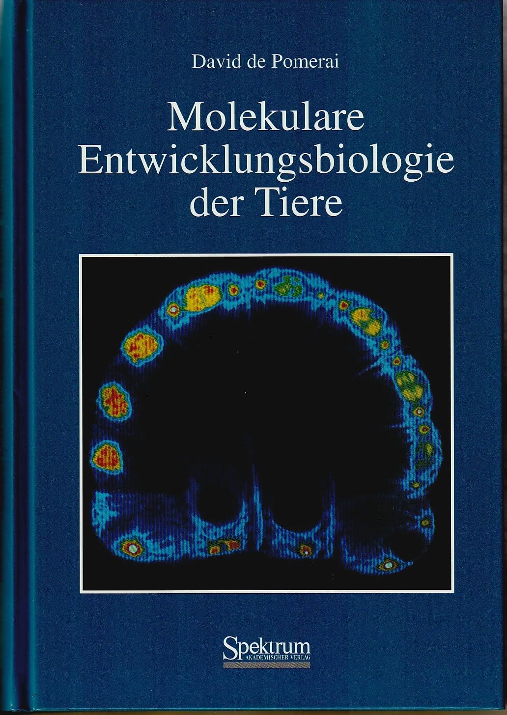 Molekulare Entwicklungsbiologie der Tiere Law