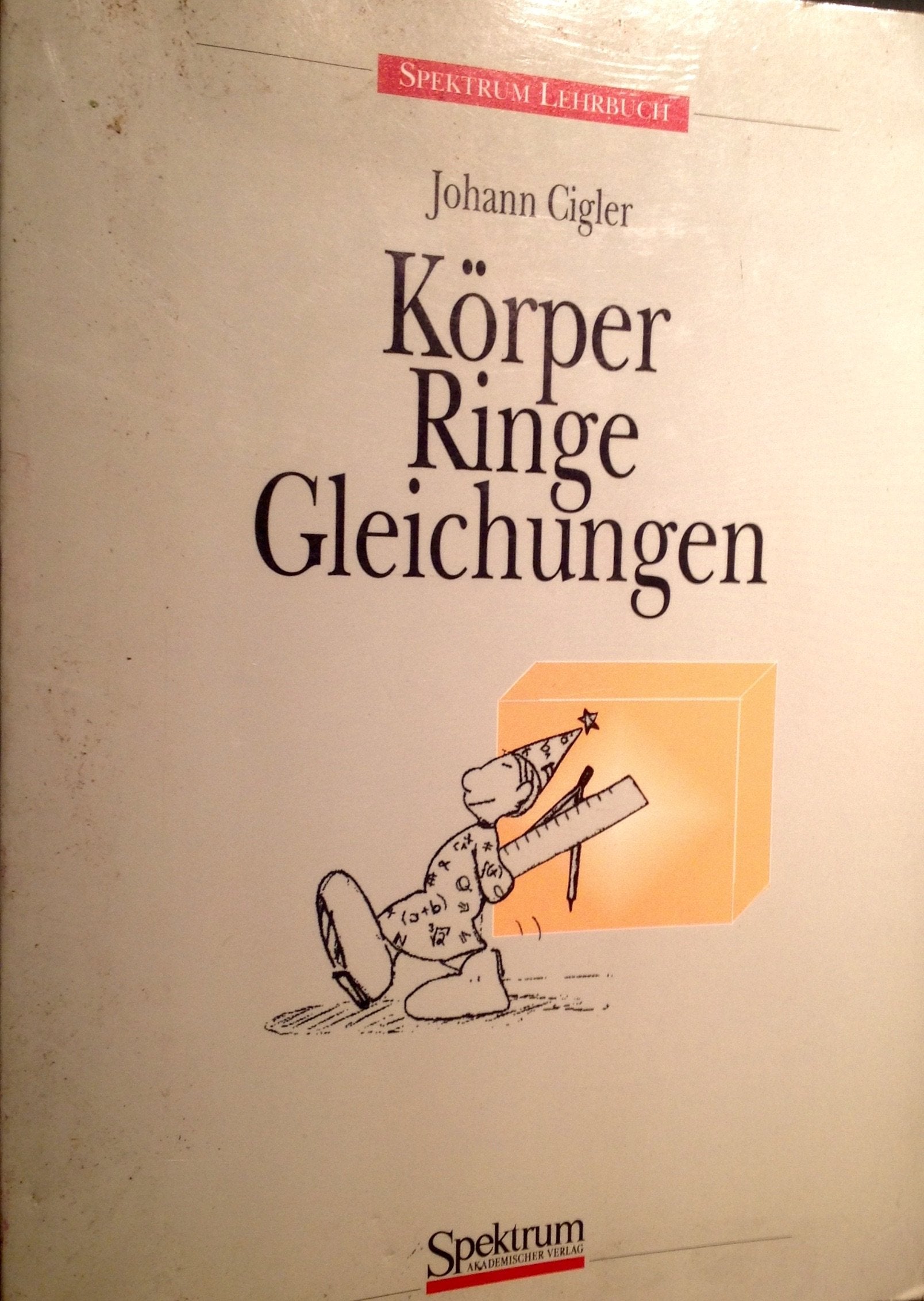 Körper - Ringe - Gleichungen: Eine Einführung in die Denkweise der Algebra Mathematics