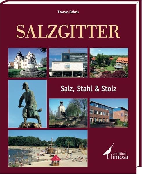 Salzgitter: Salz, Stahl und Stolz Leisure, Home & Garden