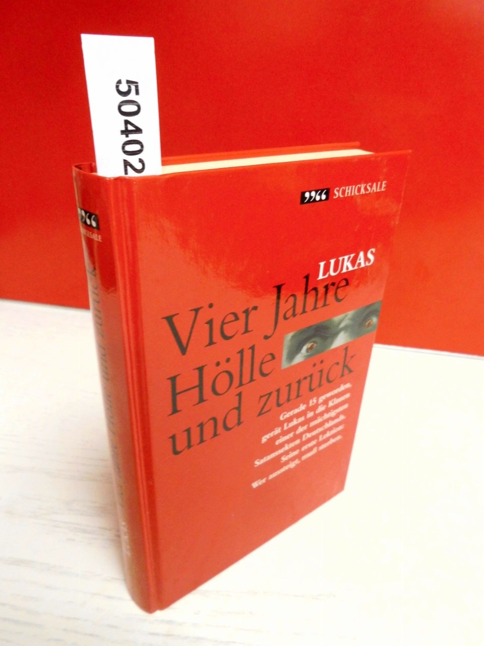 Vier Jahre Hölle und zurück - Aus der Serie: Erfahrungen Books