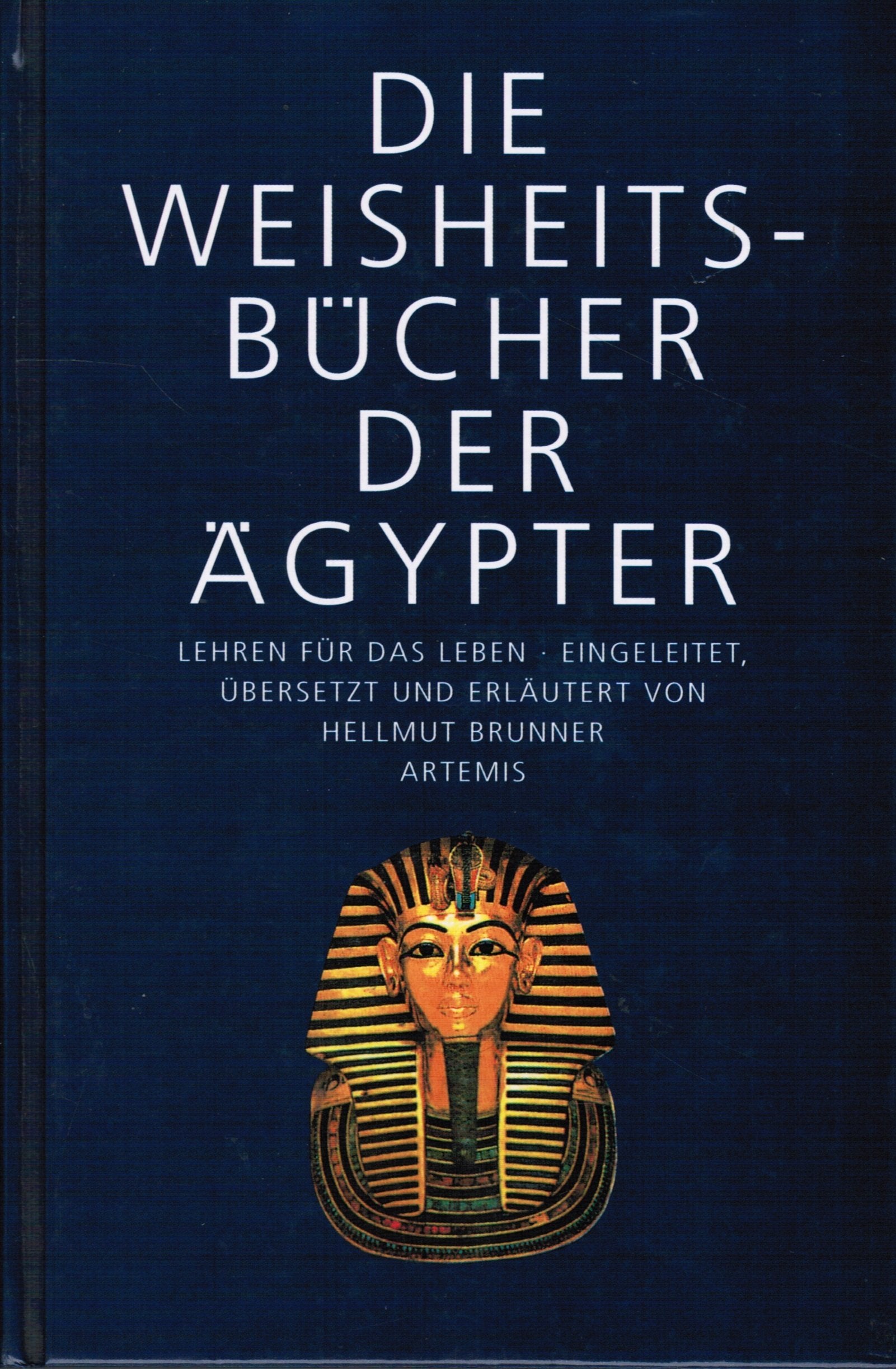 Die Weisheitsbücher der Ägypter. Politics & History books