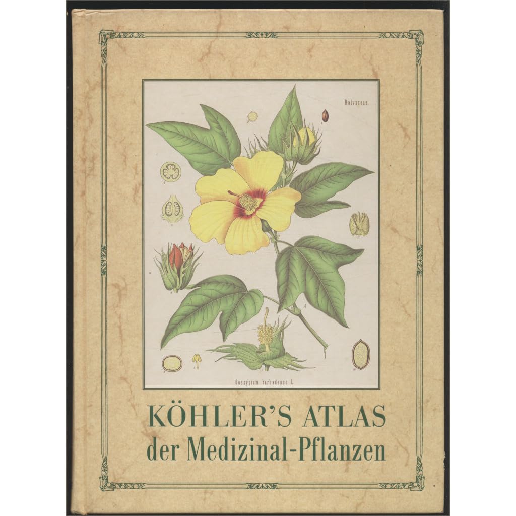 Köhler's Atlas der Medizinal-Pflanzen Medicine