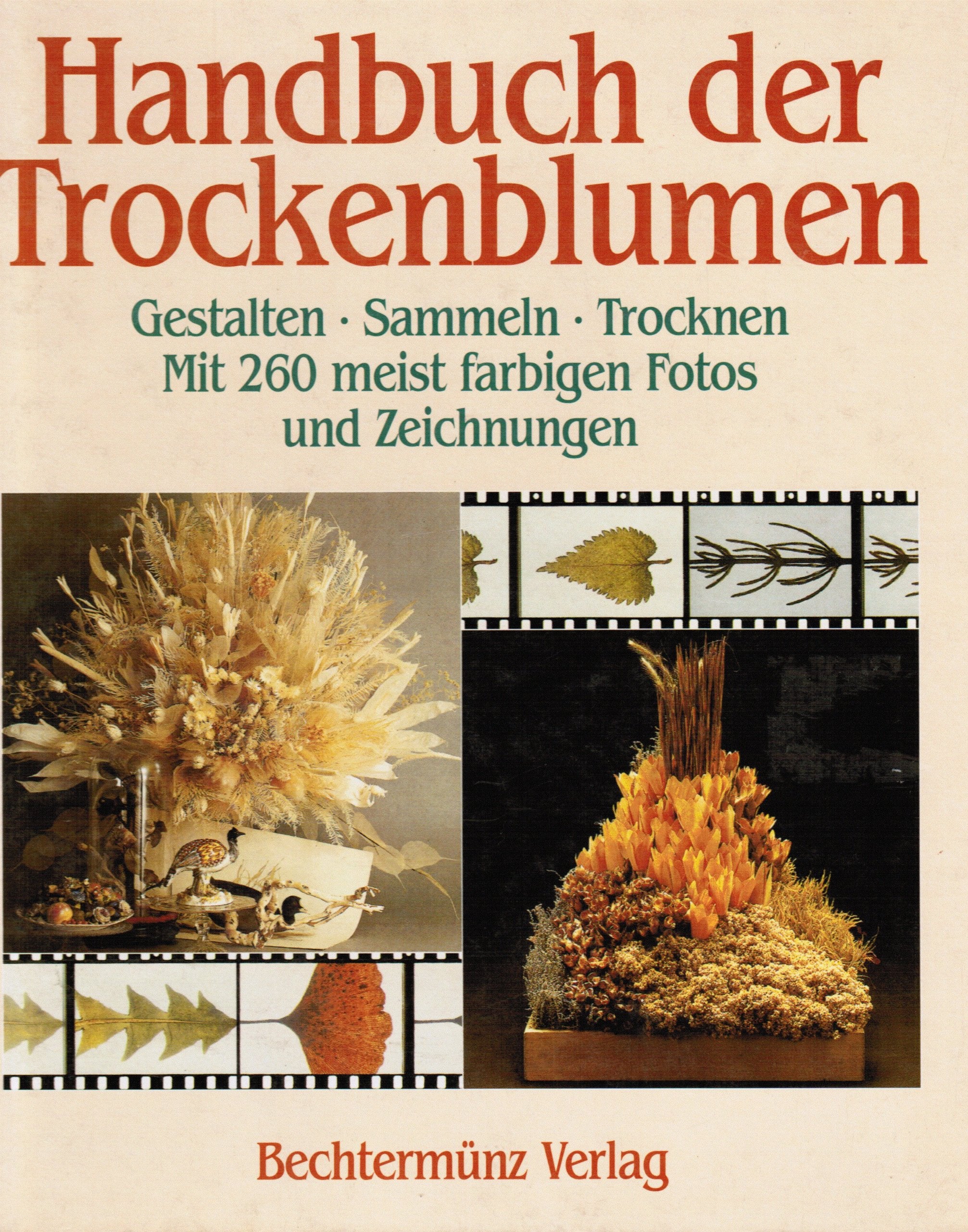 Handbuch der Trockenblumen. Gestalten - Sammeln - Trocknen Natural Sciences