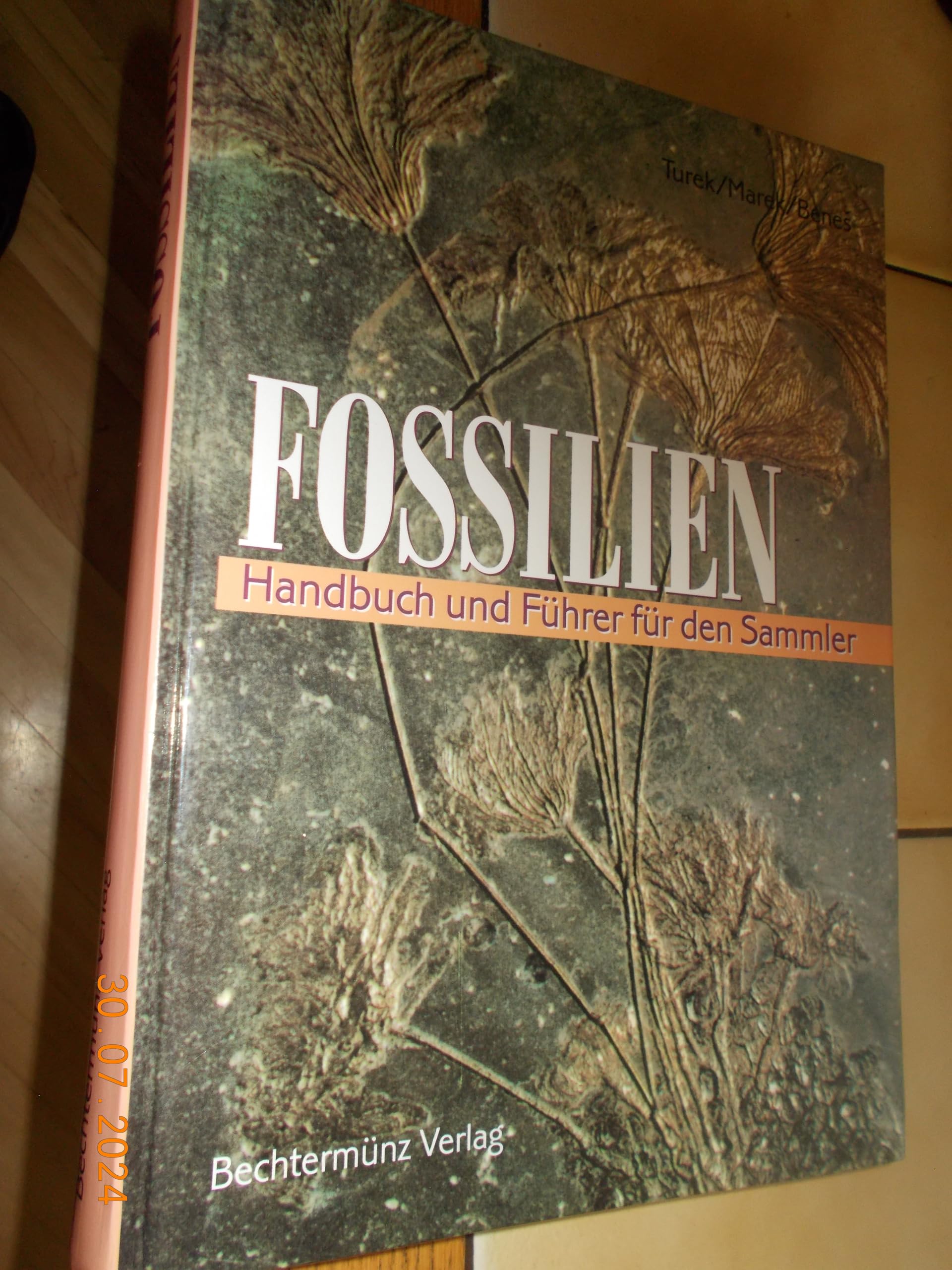Fossilien. Handbuch und Führer für den Sammler Business & Technology