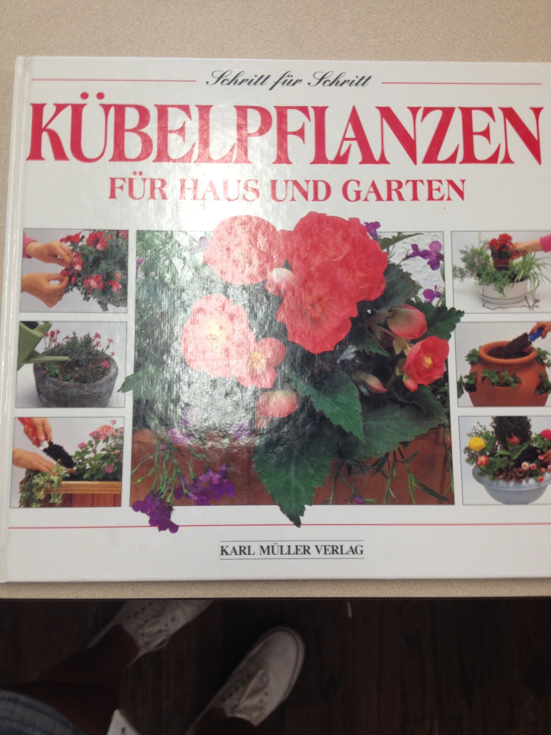 Kübelpflanzen für Haus und Garten Leisure, Home & Garden