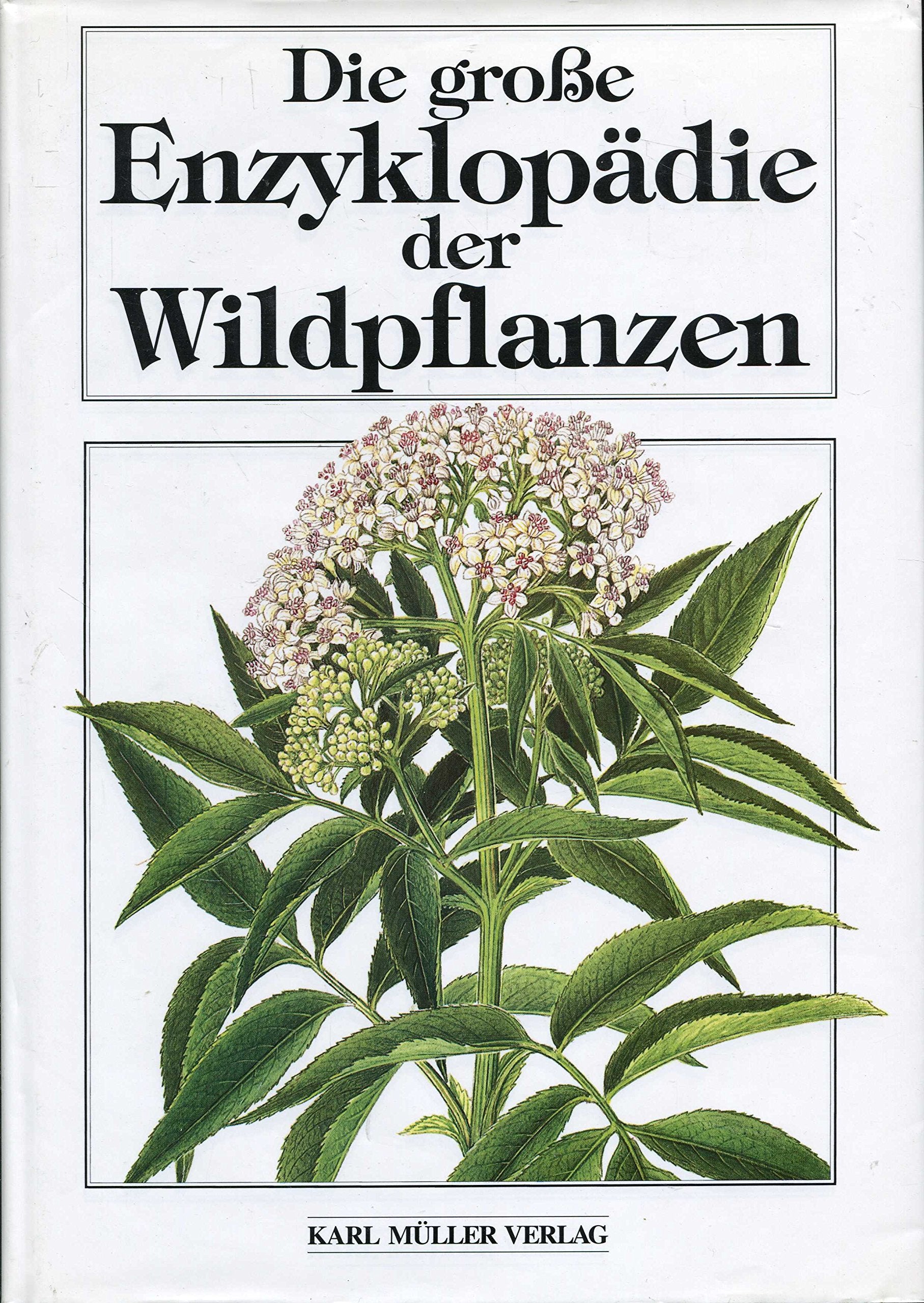 Die große Enzyklopädie der Wildpflanzen Learning & Reference