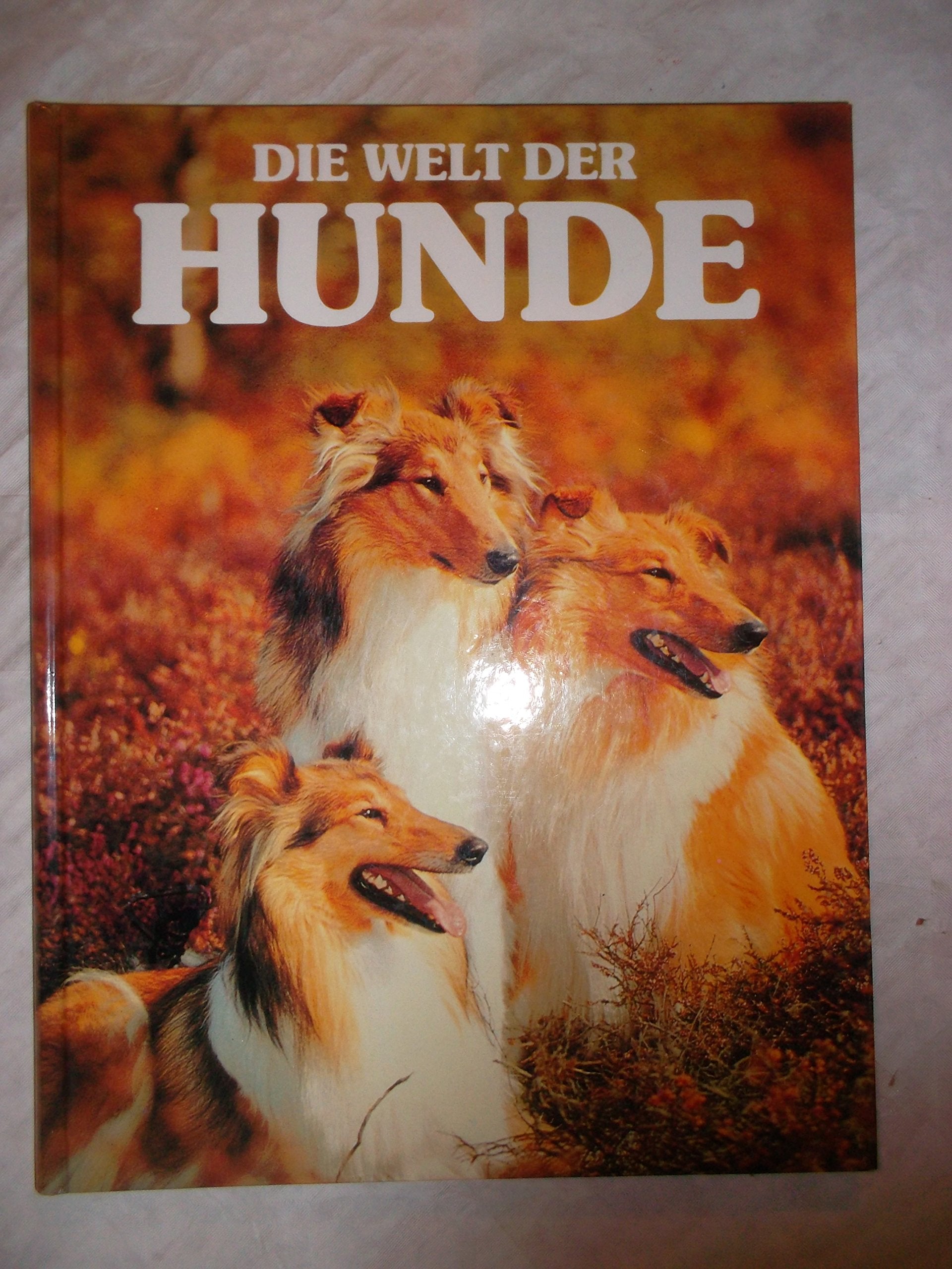 Die Welt der Hunde Film, Art & Culture