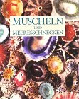 Product Image: Muscheln und Meeresschnecken