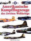 Amerikanische Kampfflugzeuge des Zweiten Weltkriegs Business & Technology