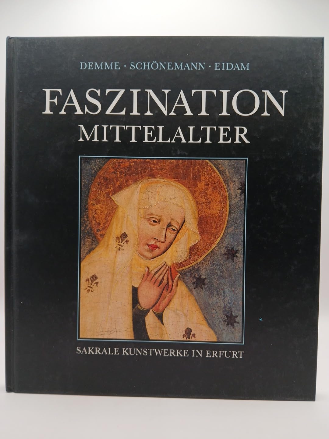 Faszination Mittelalter: Meisterwerke sakraler Kunst in Erfurt Books