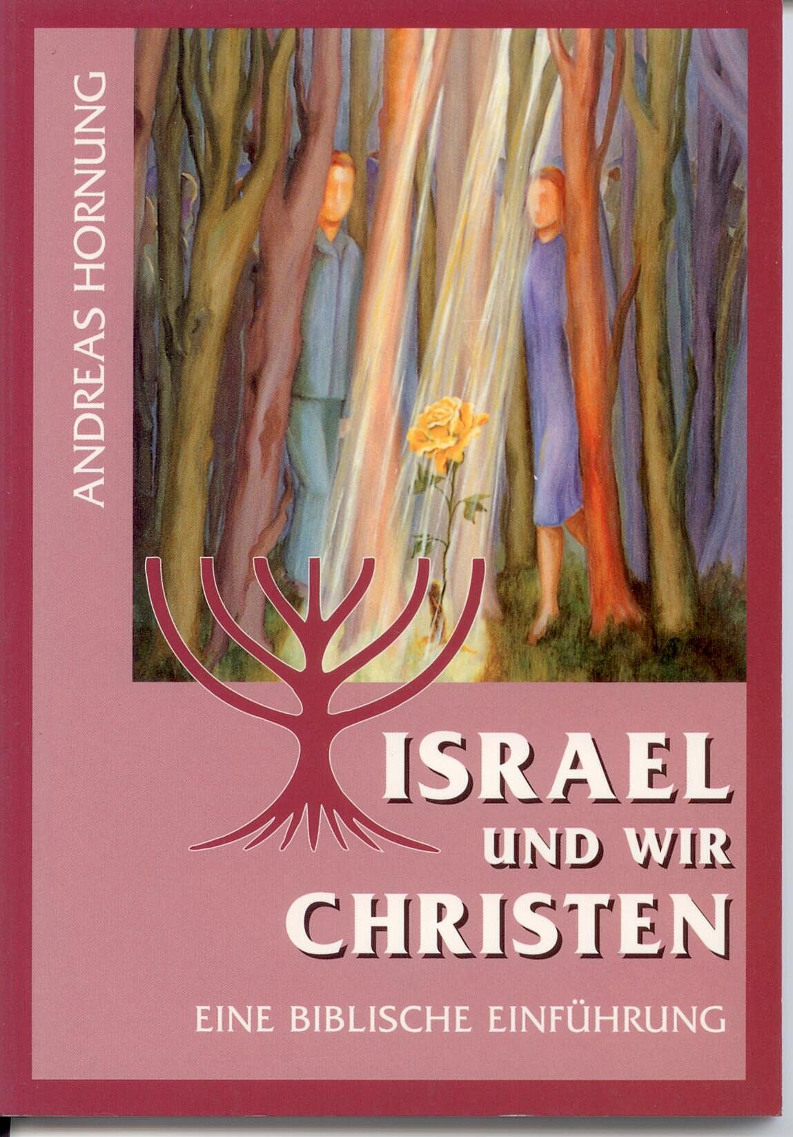 Israel und wir Christen: Eine biblische Einführung Books