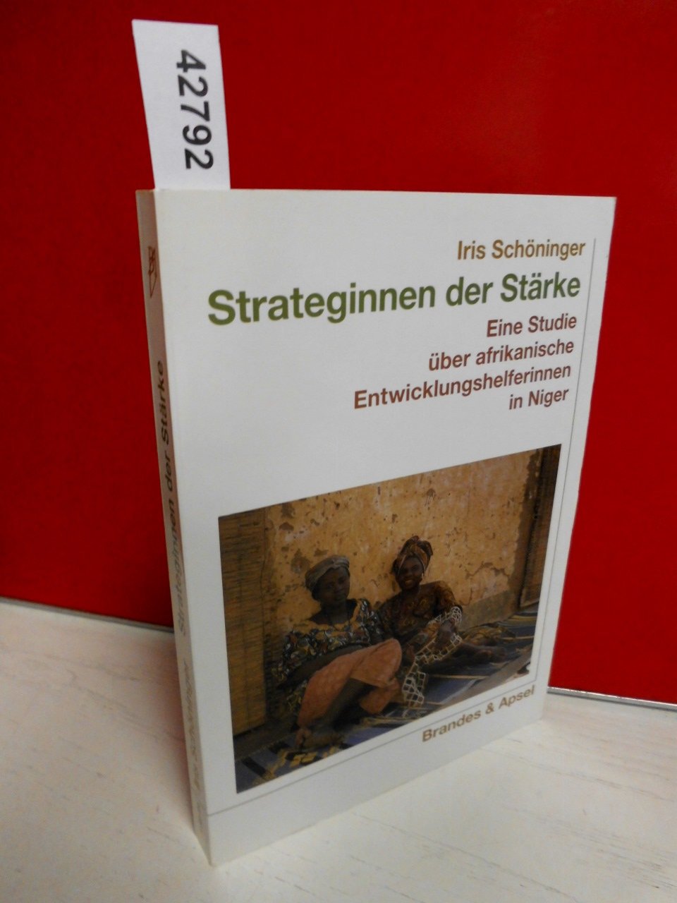 Strateginnen der Stärke: Eine Studie über afrikanische Entwicklungshelferinnen in Niger Politics & History