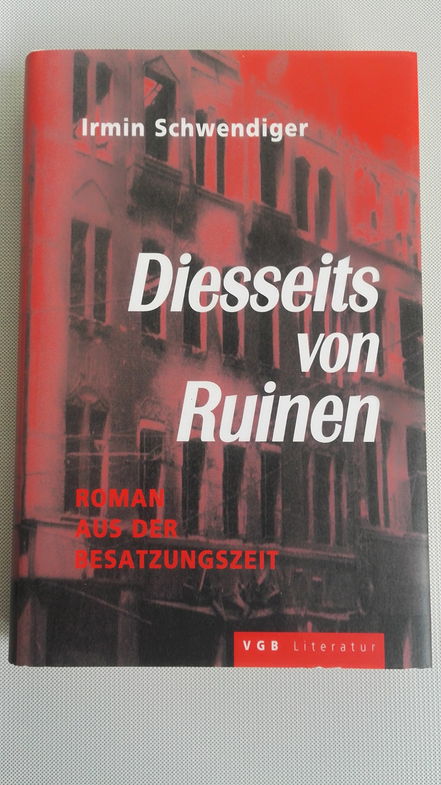 Diesseits von Ruinen: Roman Books