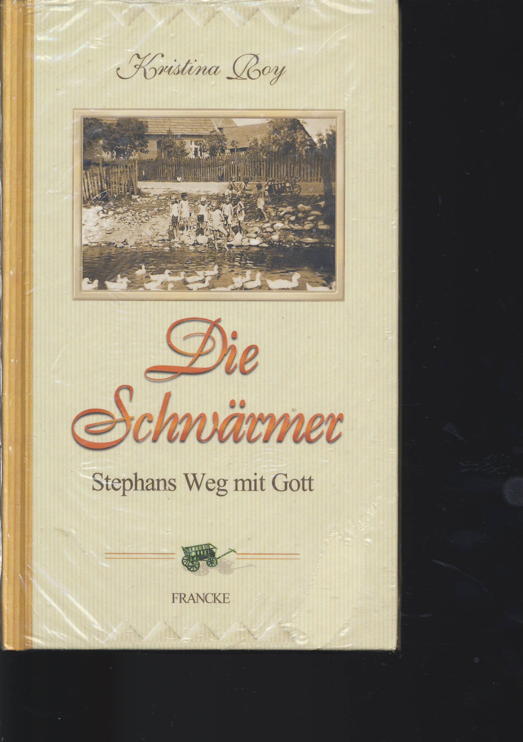 Die Schwärmer: Stephans Weg mit Gott Contemporary literature
