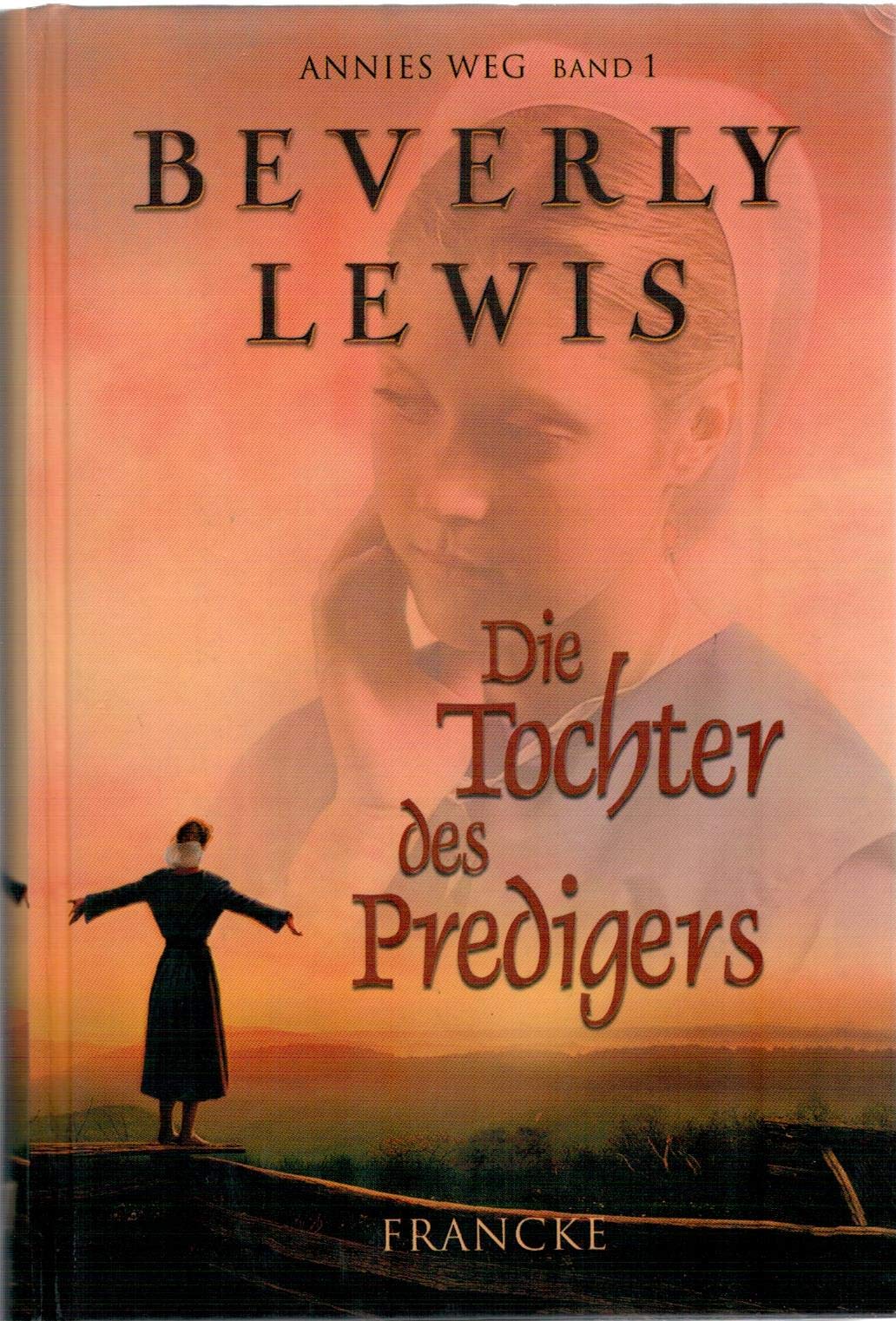 Die Tochter des Predigers (Annies Weg) Contemporary literature
