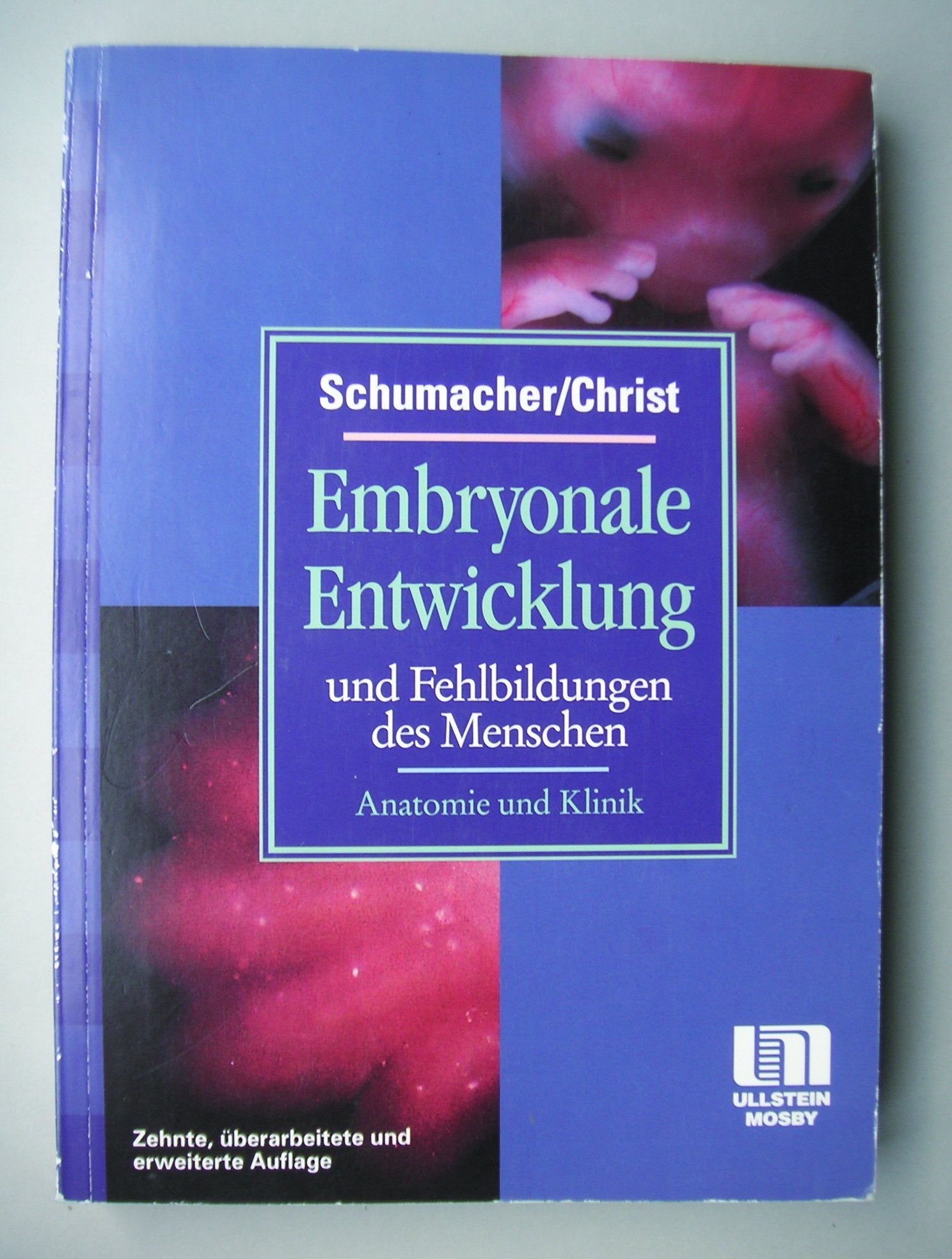 Embryonale Entwicklung und Fehlbildungen Medicine