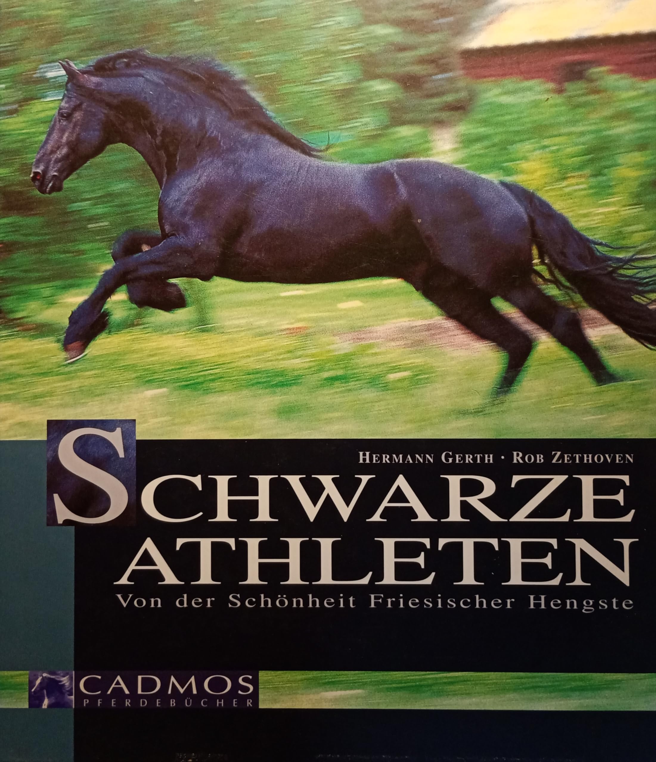 Schwarze Athleten: Von der Schönheit Friesischer Hengste Natural Sciences