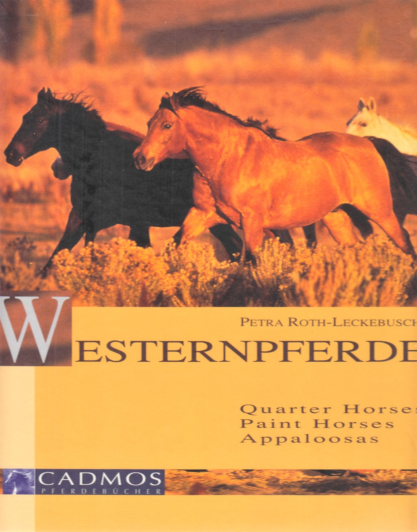 Westernpferde: Quarter Horses /Paint Horses /Appaloosas Pets