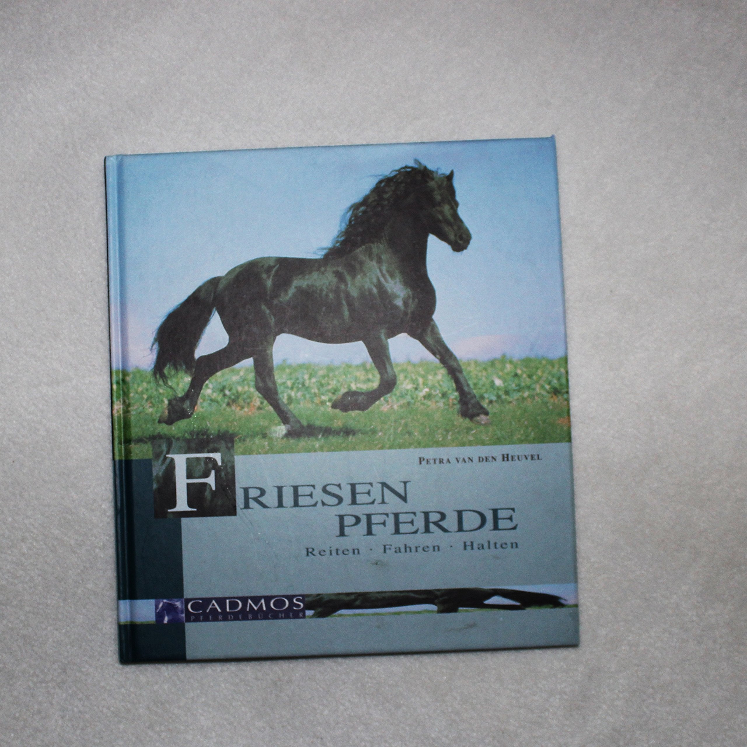 Friesen Pferde: Reiten - Fahren - Halten Books