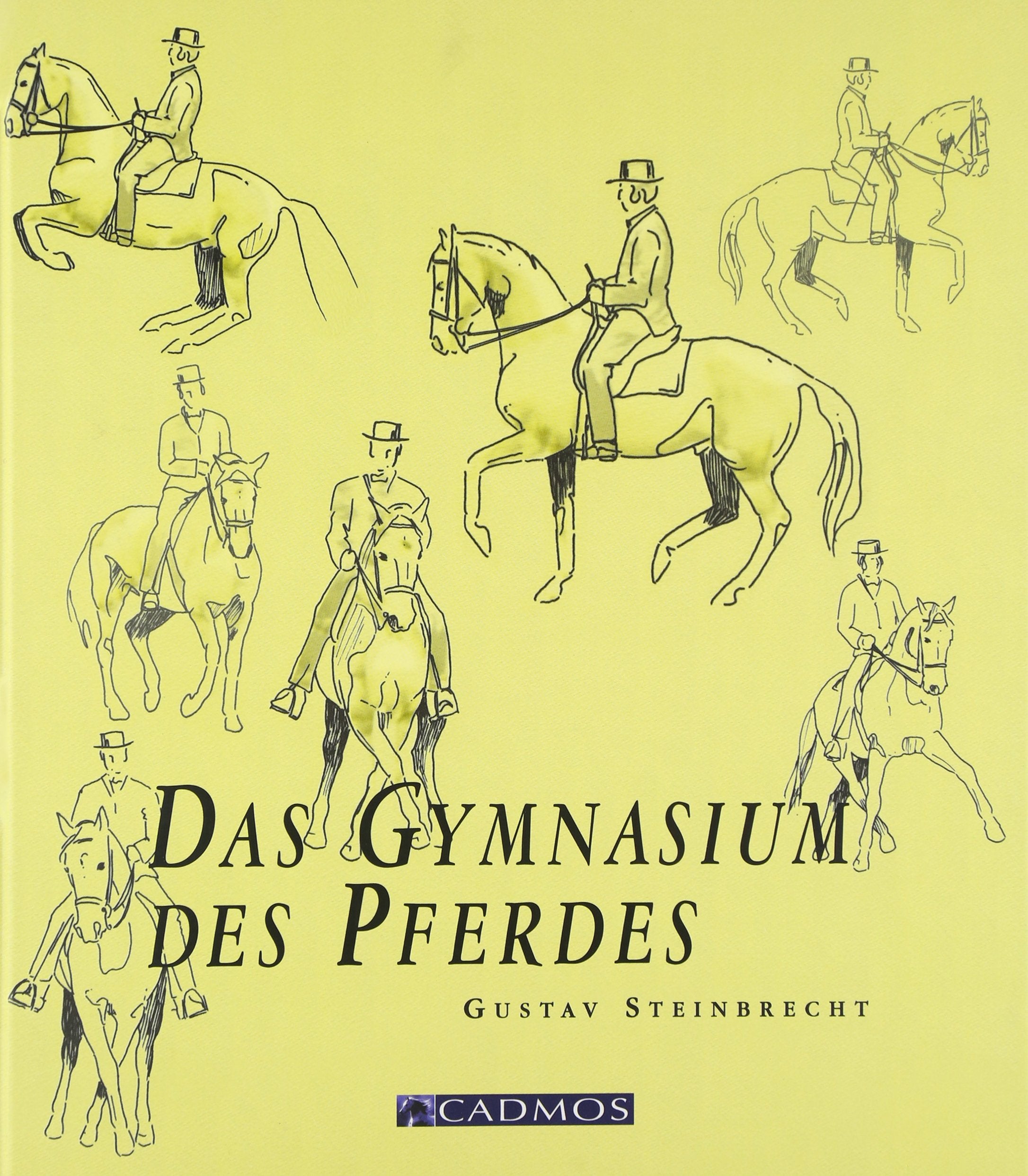 Das Gymnasium des Pferdes Pets