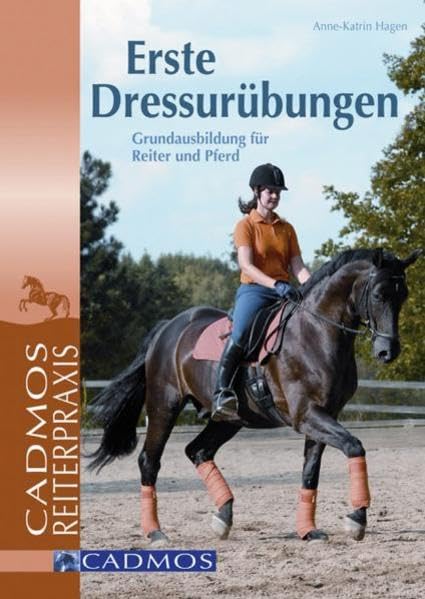 Erste Dressurübungen Pets