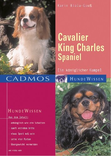 Cavalier King Charles Spaniel: Ein königlicher Kumpel book