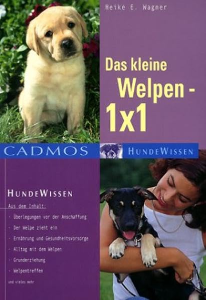 Das kleine Welpen 1 x 1 Pets