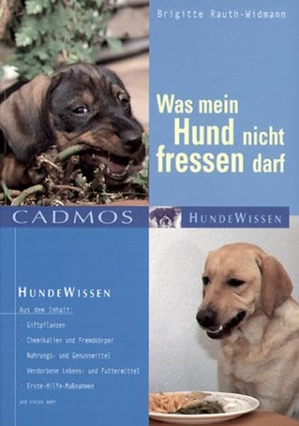 Was mein Hund nicht fressen darf Pets