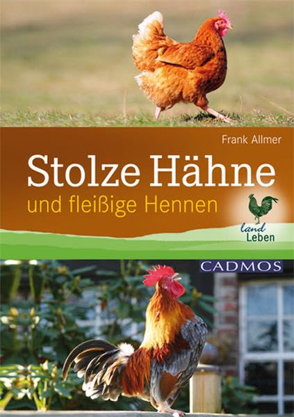 Stolze Hähne Medicine