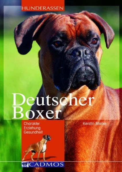 Deutscher Boxer Pets