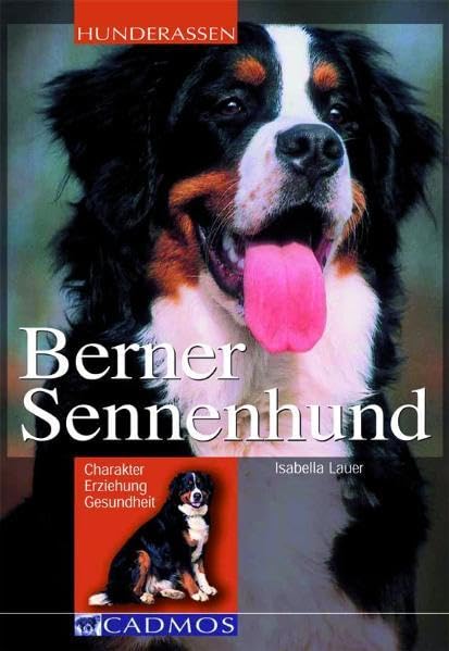 Product Image: Berner Sennenhund