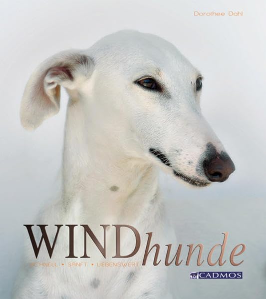 Windhunde Pets