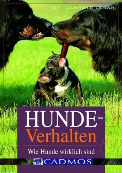 Hundeverhalten: Wie Hunde wirklich sind (Cadmos Hundebuch) Pets