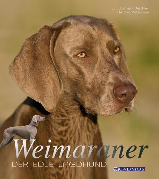 Weimaraner Pets