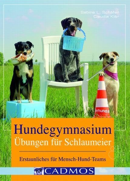 Product Image: Hundegymnasium