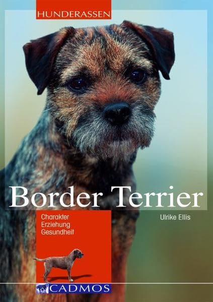 Product Image: Border Terrier