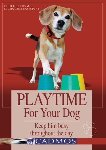 Playtime for your dog: Keep him busy throughout the day Pets