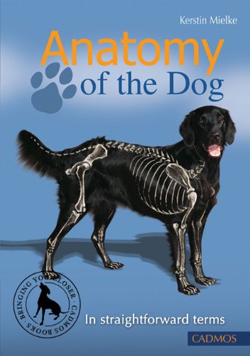 Anatomy of the Dog: In Straight Forward Terms Pets