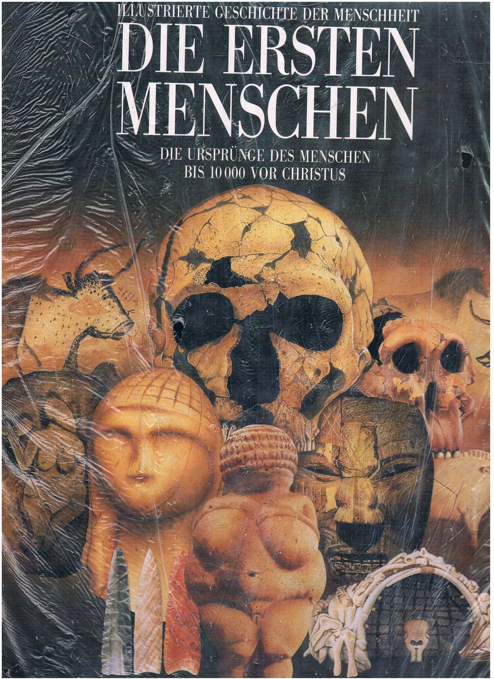 Illustrierte Geschichte der Menschheit. Die ersten Menschen. Die Ursprünge des Menschen bis 10000 vor Christus Books
