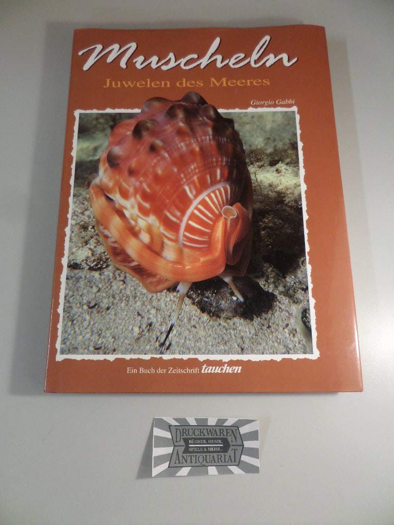 Product Image: Muscheln